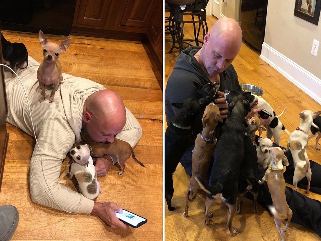 Man Dedicates His Life To Saving Small Animals After Chihuahua Saves His Life - Obsev