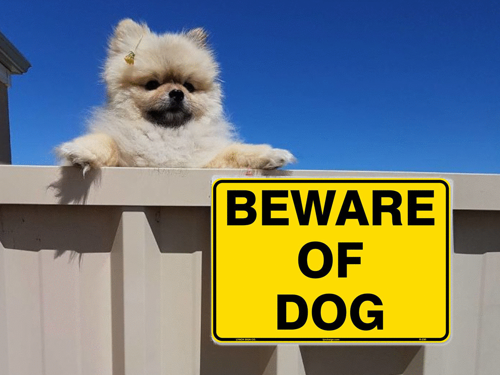 hilarious-pups-behind-the-beware-of-the-dog-signs-obsev